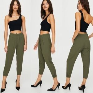 Aritzia Babaton dexter crop pants